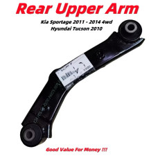 Upper Arm (Rear)